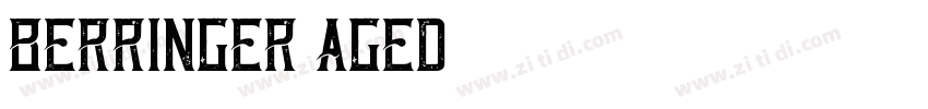 berringer aged字体转换